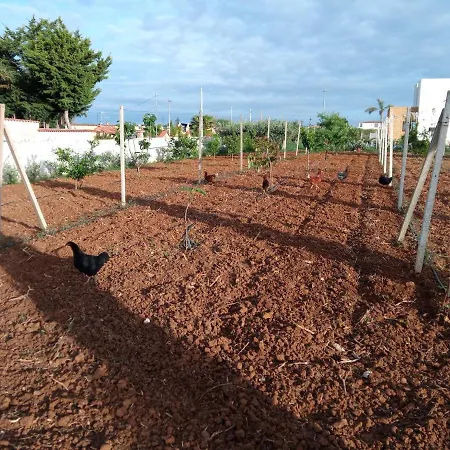 Casa Ralivo Di Sicilia Holiday home Balestrate