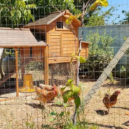 Hébergement de vacances Casa Ralivo Di Sicilia